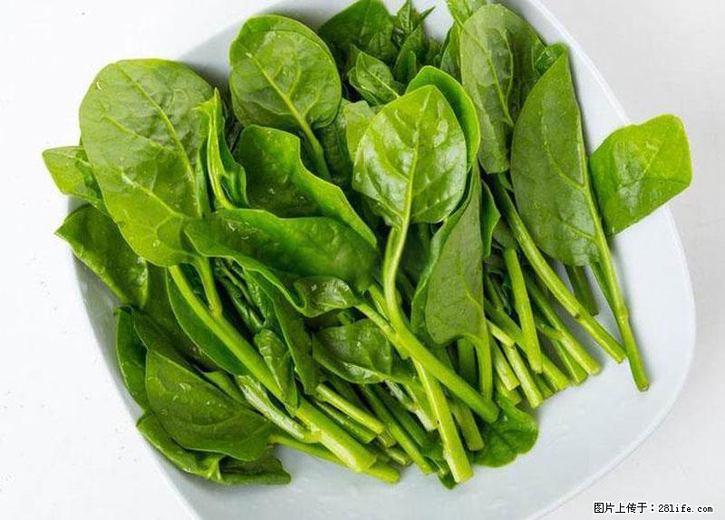 这些蔬菜是“天然钙片”，这6种被医生重点推荐 - 沈阳生活资讯 - 沈阳28生活网 sy.28life.com