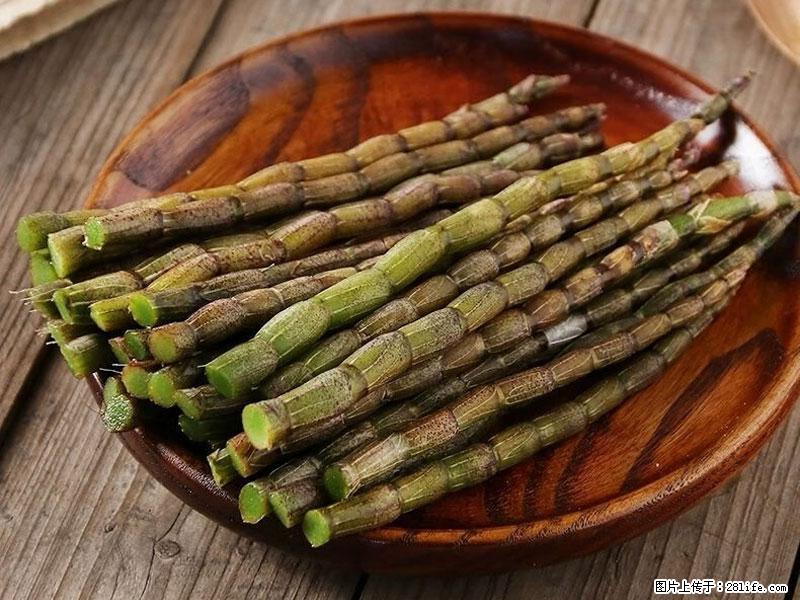 铁皮石斛的作用与功能主治 - 沈阳生活资讯 - 沈阳28生活网 sy.28life.com