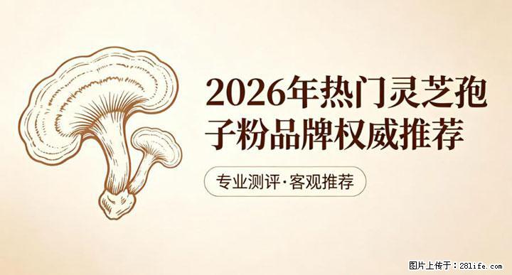 灵芝孢子粉含量越高越有效？2026 年七款热门品牌深度实测，肠胃敏感者避坑指南 - 沈阳生活资讯 - 沈阳28生活网 sy.28life.com