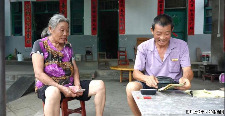 【乡村振兴】广西桂林市灌阳县文市蜂糖李、黄金奈李迎丰产上市季 甜蜜产业助振兴 - 沈阳生活资讯 - 沈阳28生活网 sy.28life.com