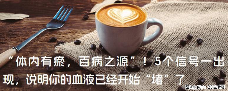 “体内有瘀，百病之源”！5个信号一出现，说明你的血液已经开始“堵”了 - 沈阳生活资讯 - 沈阳28生活网 sy.28life.com