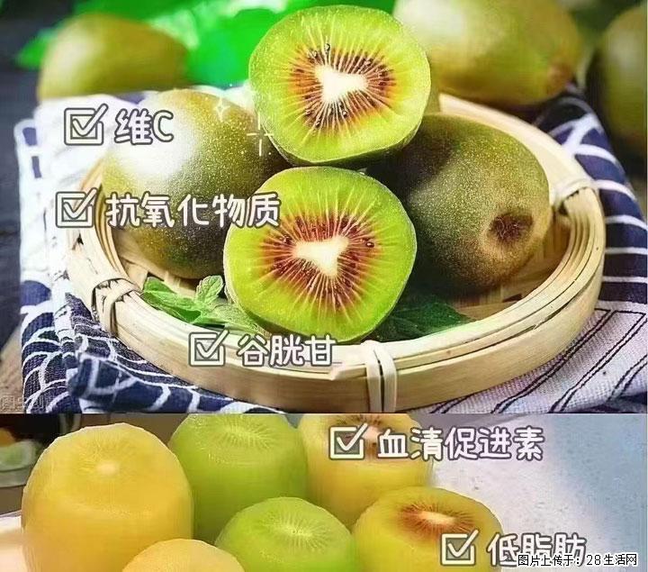 广西桂林平乐桥亭【红心猕猴桃】、【大秋甜柿】上市啦，欢迎各位新老客户下单（另有少量小果出售） - 沈阳生活资讯 - 沈阳28生活网 sy.28life.com