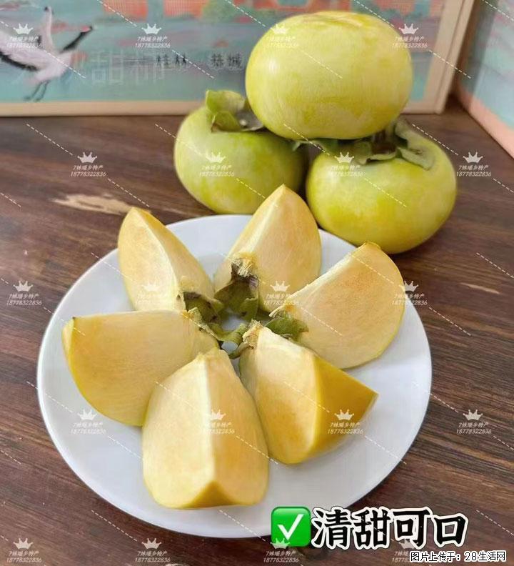 广西桂林平乐桥亭【红心猕猴桃】、【大秋甜柿】上市啦，欢迎各位新老客户下单（另有少量小果出售） - 沈阳生活资讯 - 沈阳28生活网 sy.28life.com